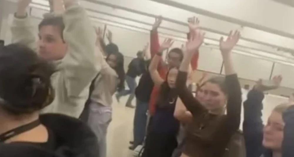 5349396081995302 cats