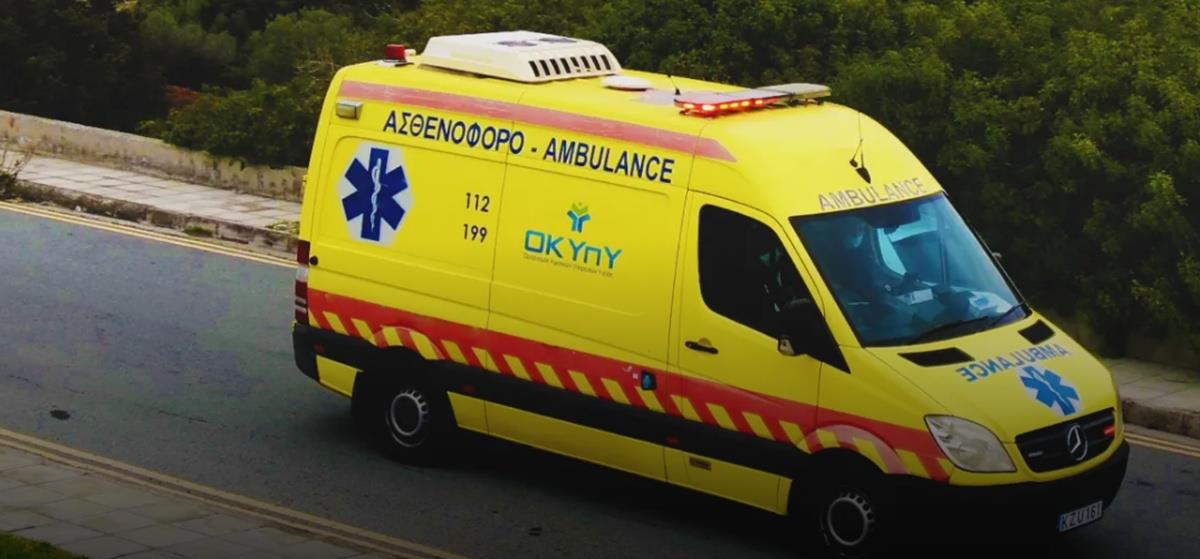 5349543013530026 cats