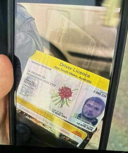 5349545659292143 image