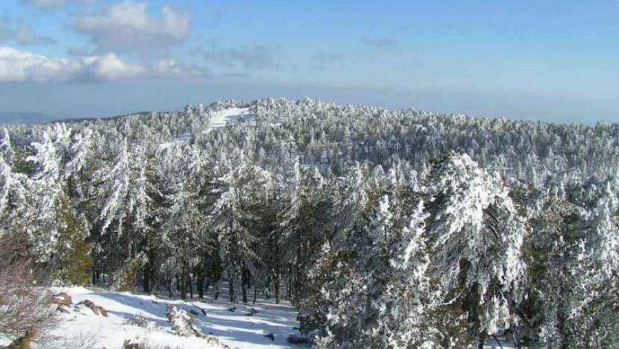 5350117813773128 dc7b82cbc21cdc5ba0bf3400a7aaf96f.2e16d0ba.fill-1600x900