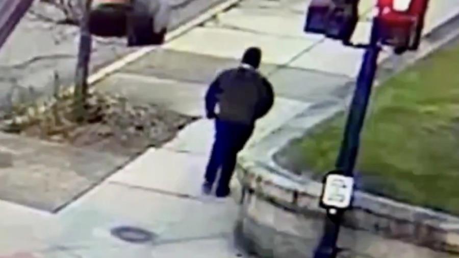 5350174676835178 brown shoot 3-mk2