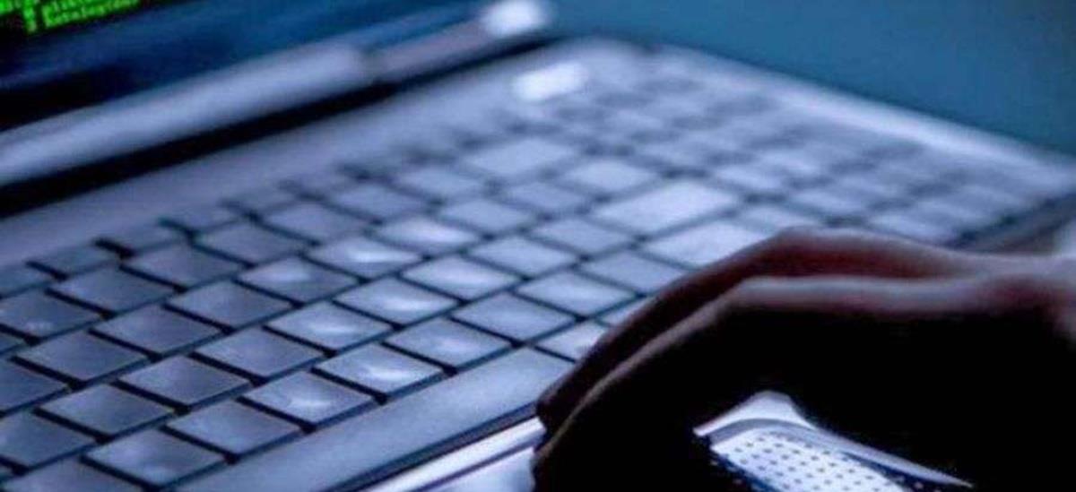 5350533248675362 cats