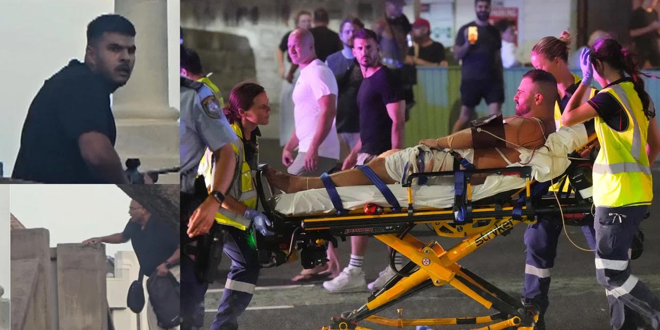 5350549321855644 image