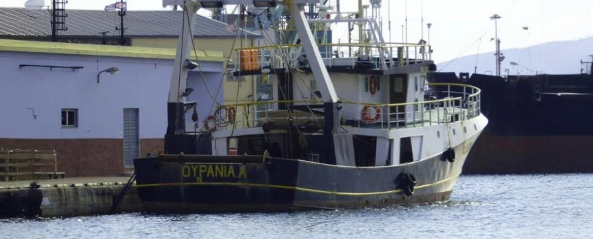 5350582821430956 cats