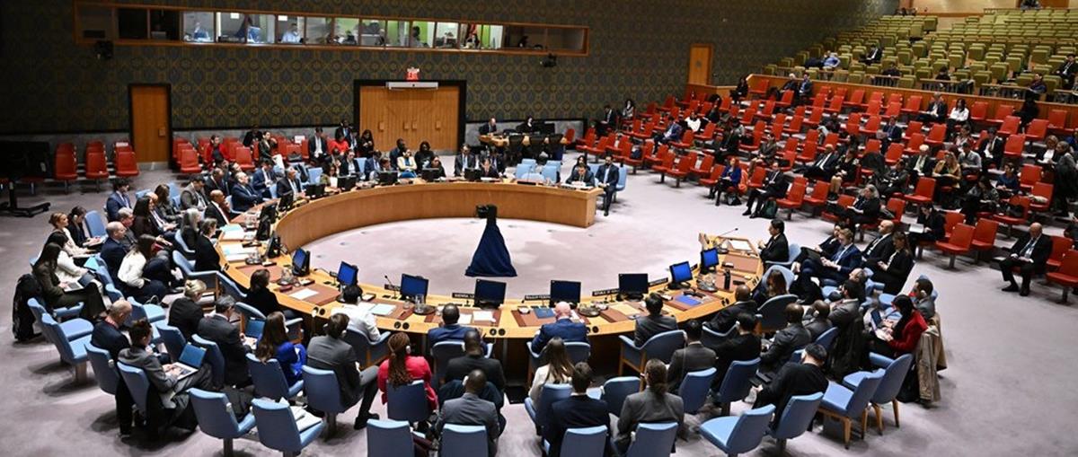 5351010639934535 cats