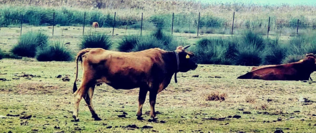 5351302278410059 image-122