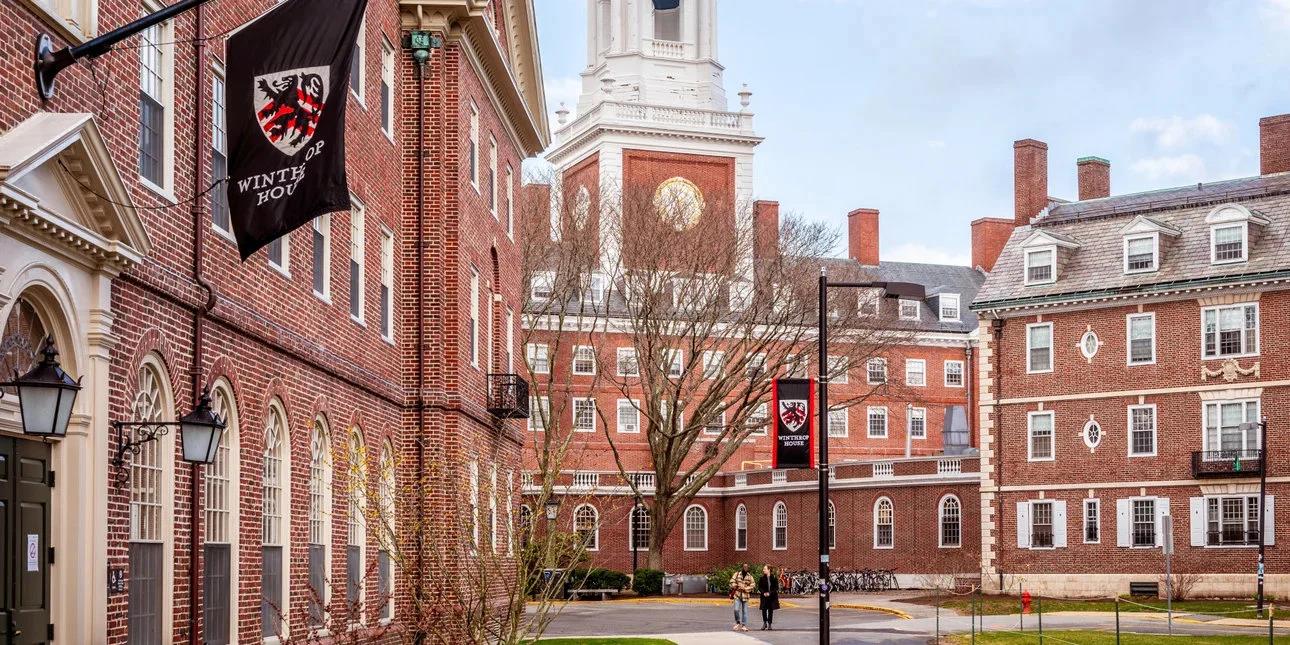 5352042877208471 image