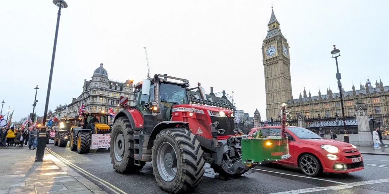 5352045152073790 image