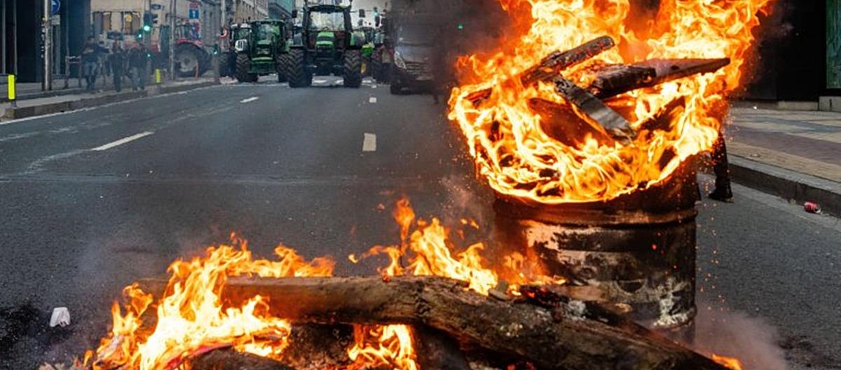 5352936765088984 cats