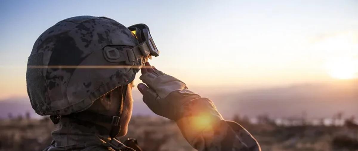 5352945558445137 cats