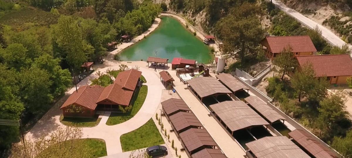 5353706813800071 cats