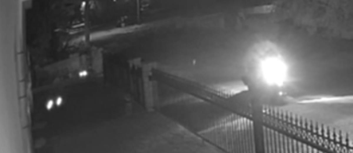 5353759864615353 image