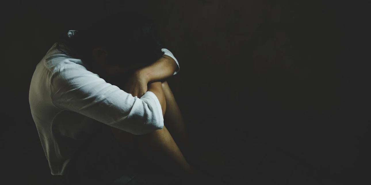 5353793493787684 image