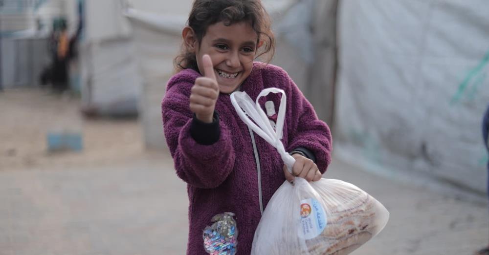 5354559926107441 cats