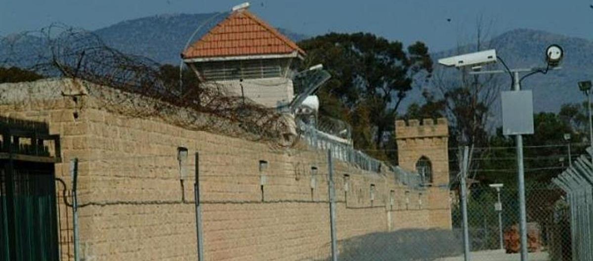 5354587300600459 cats