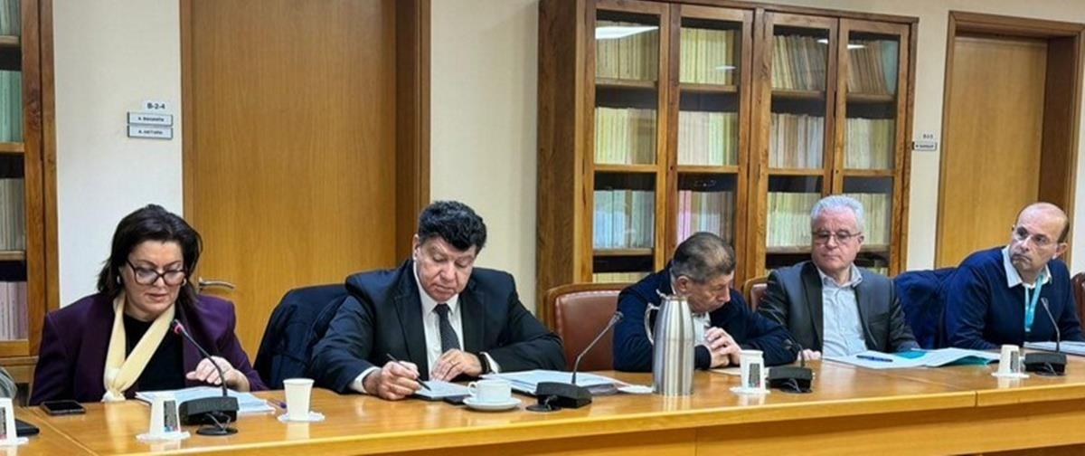 5354612719404724 cats