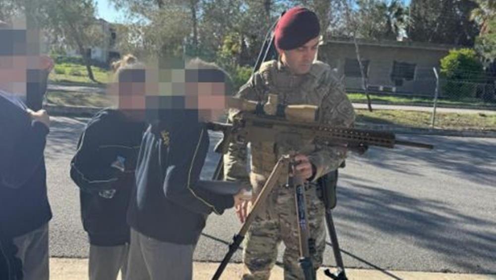 5354787237041653 cats