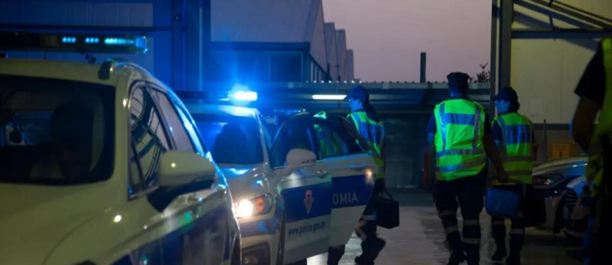 5354974255596035 image