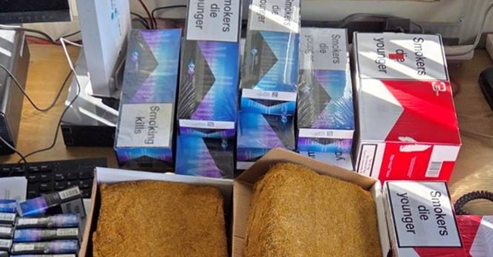 5356206995383736 cats