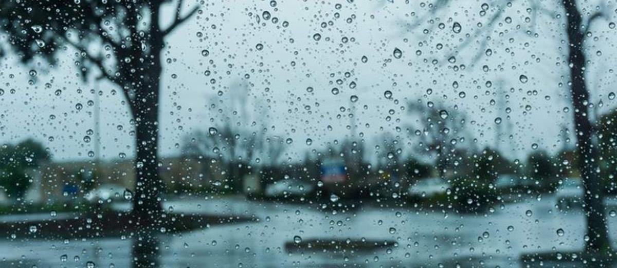 5356440940126388 cats