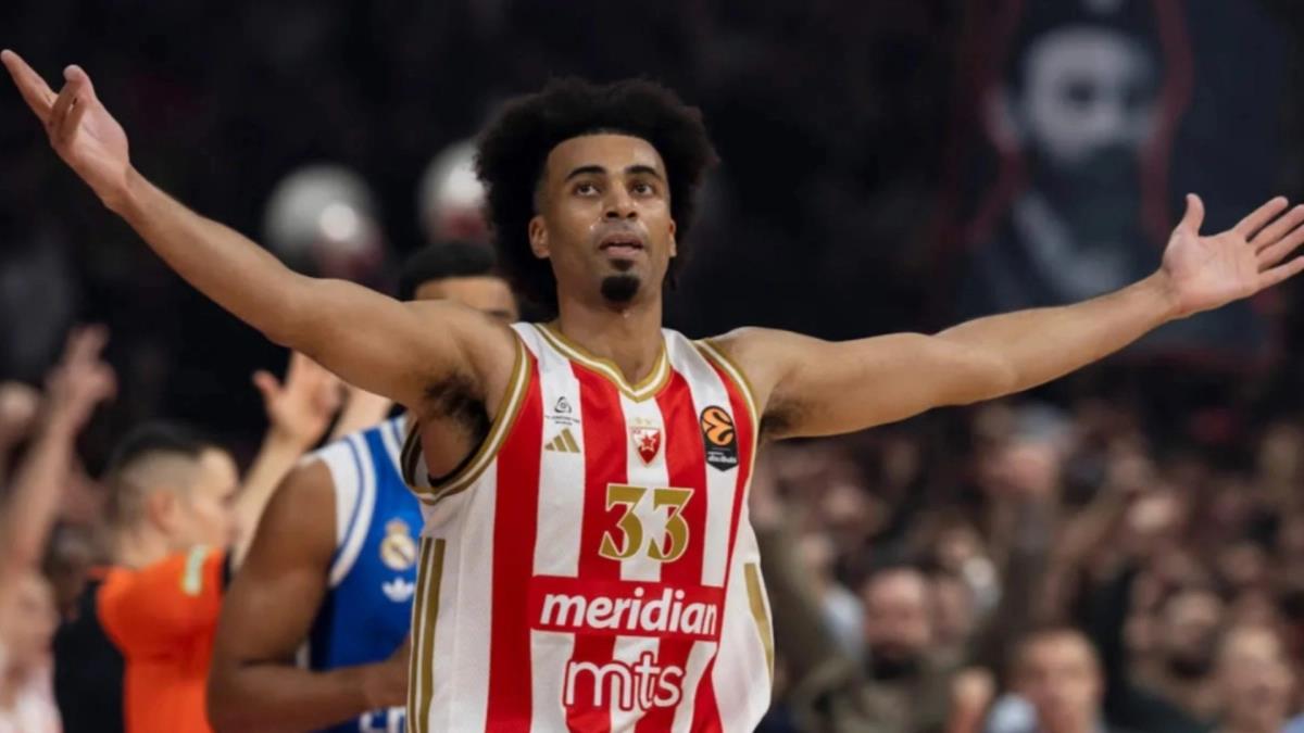 5358834349377336 image