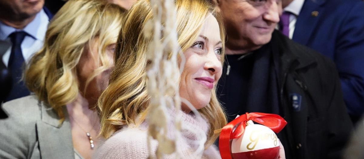 5359110243191032 cats