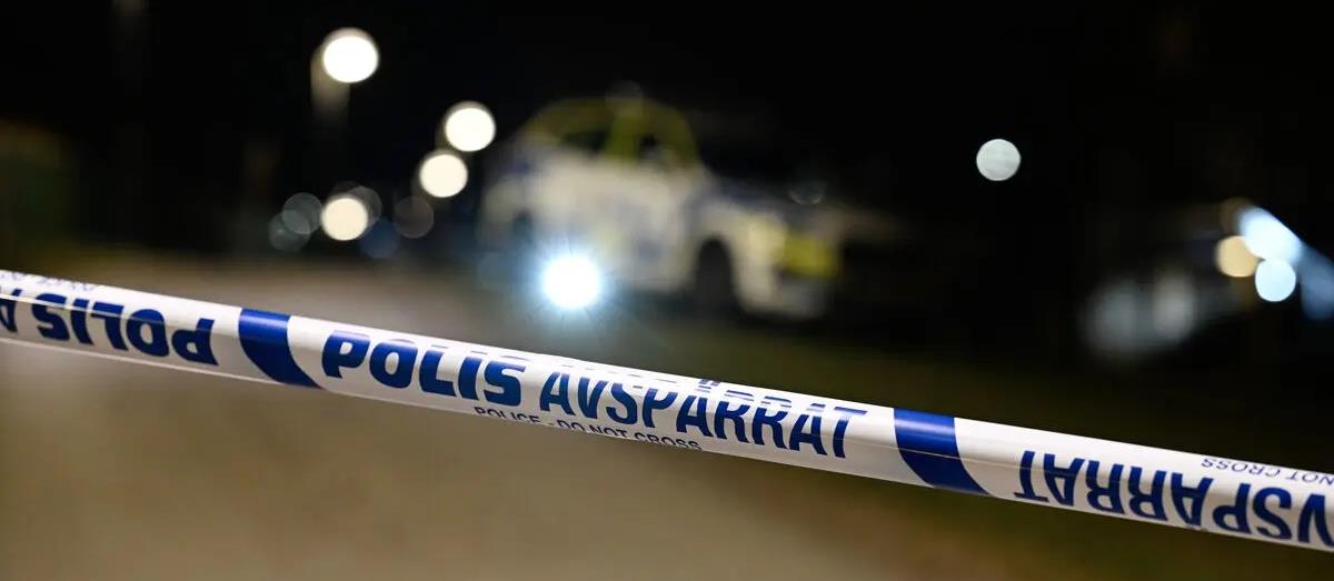 5359206218945096 cats