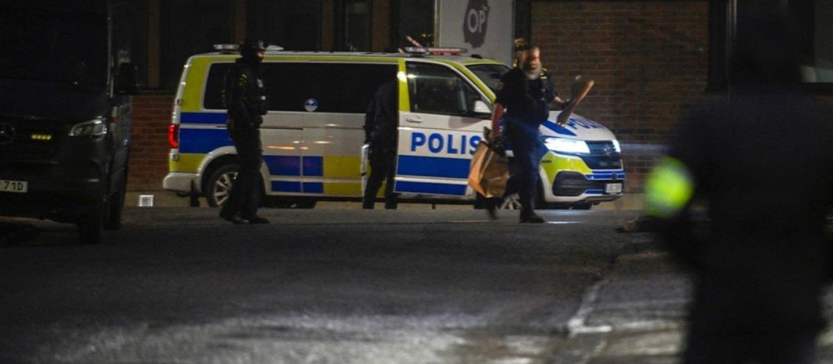 5359253824133616 cats