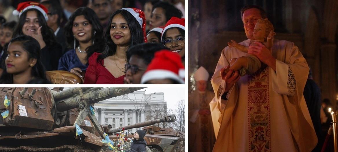 5359260484845665 cats