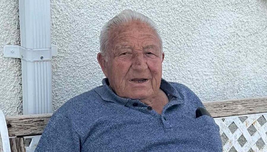 5359283232542194 cats