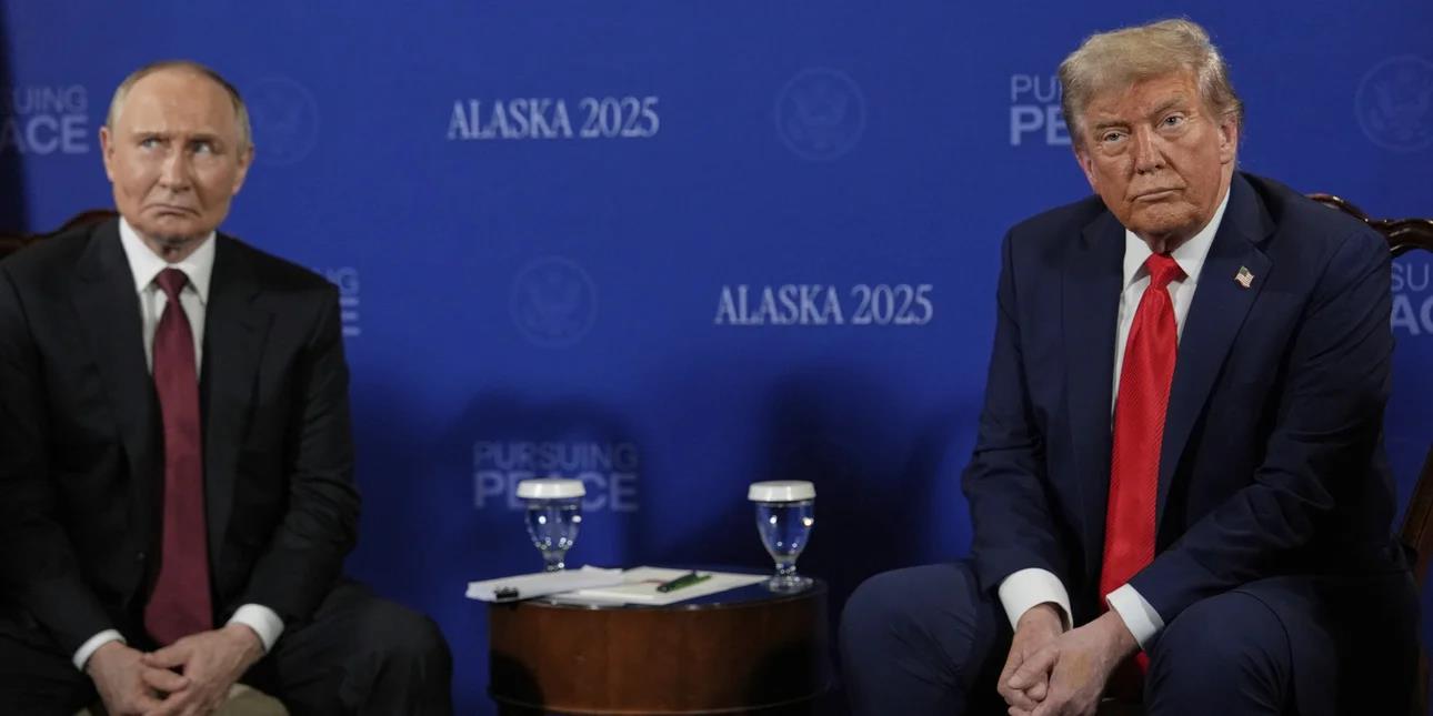 5359681312185556 image