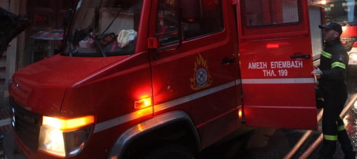 5359761561523308 cats