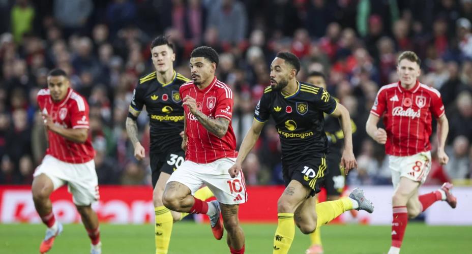 5359787836287354 image