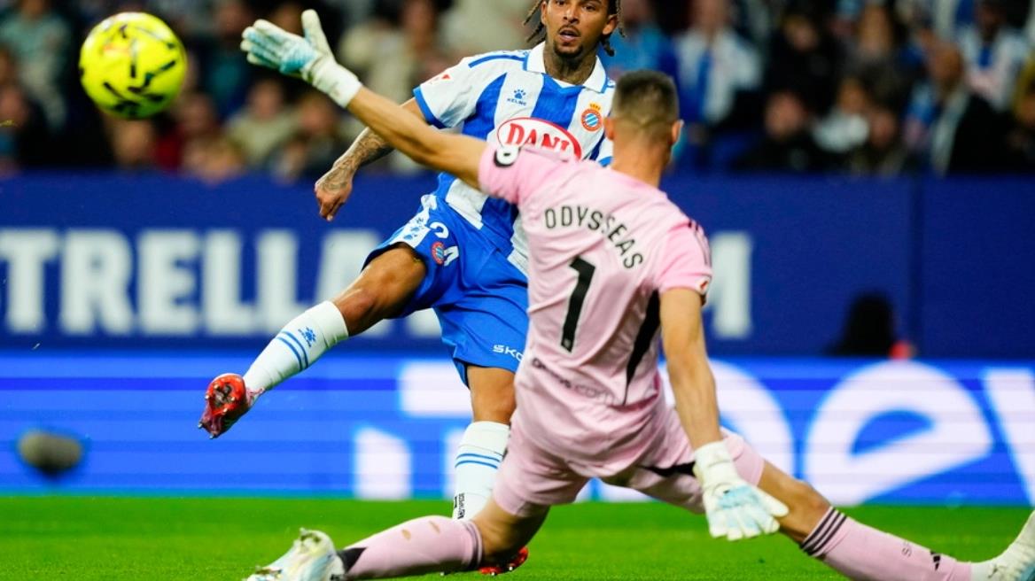 5359859293527467 image