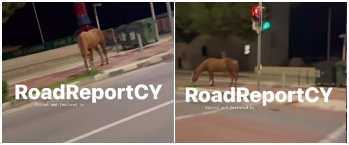 5360575425513017 collage