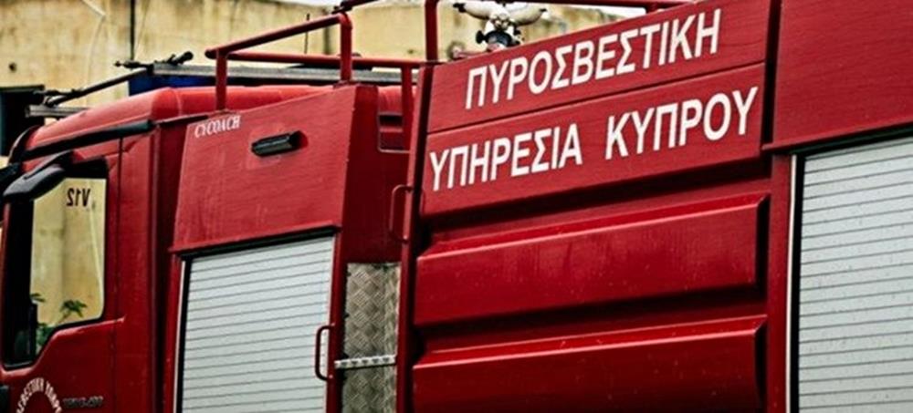 5361416849965950 PY.width-750