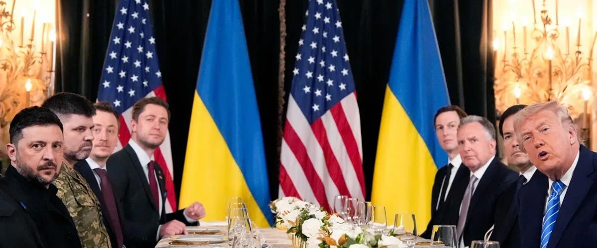 5362003166739761 cats