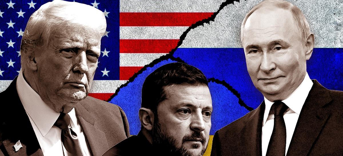 5362401414403500 cats