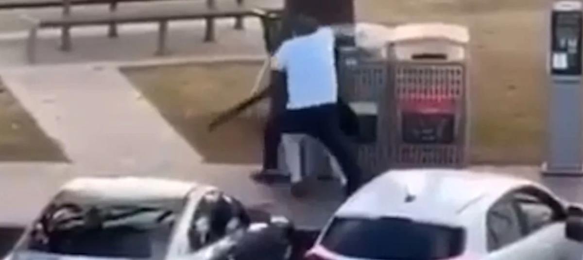 5362409707121826 cats