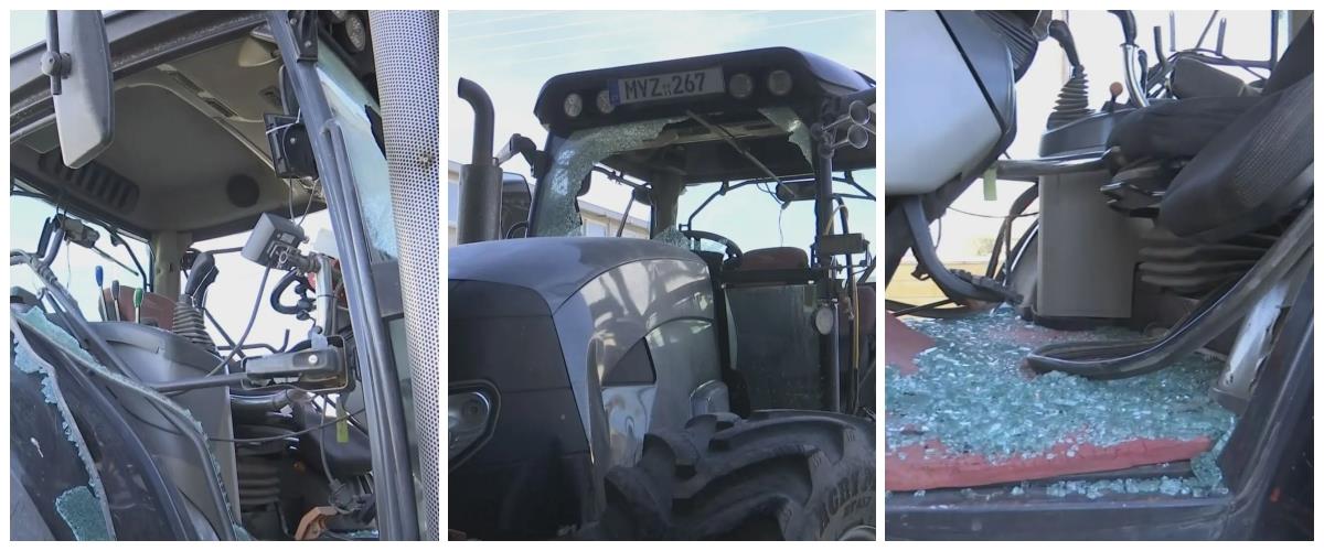 5363321728813554 collage