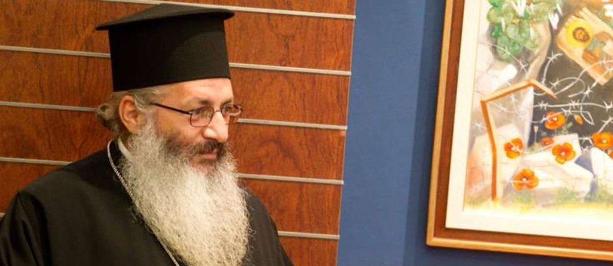 5363536255681986 cats