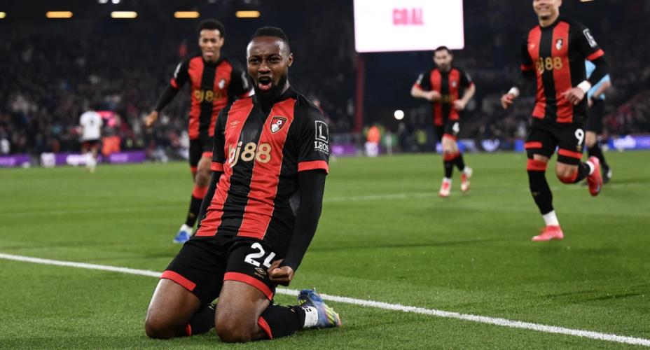 5363612127786511 image