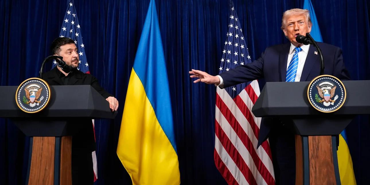 5363976533193616 image