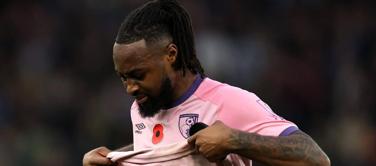 5364055202209519 cats