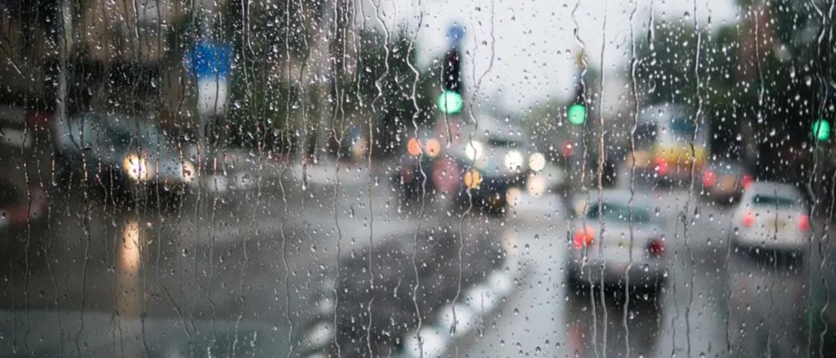 5364108448837317 cats