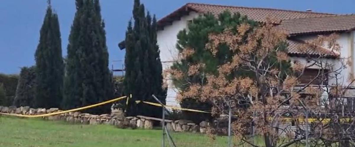 5364118140043375 cats