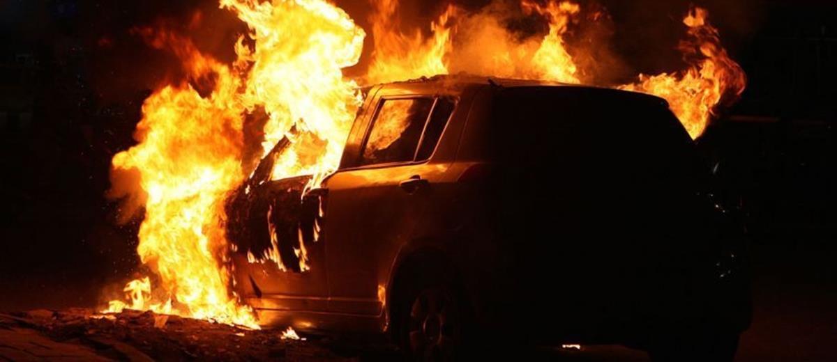 5364163627872212 cats