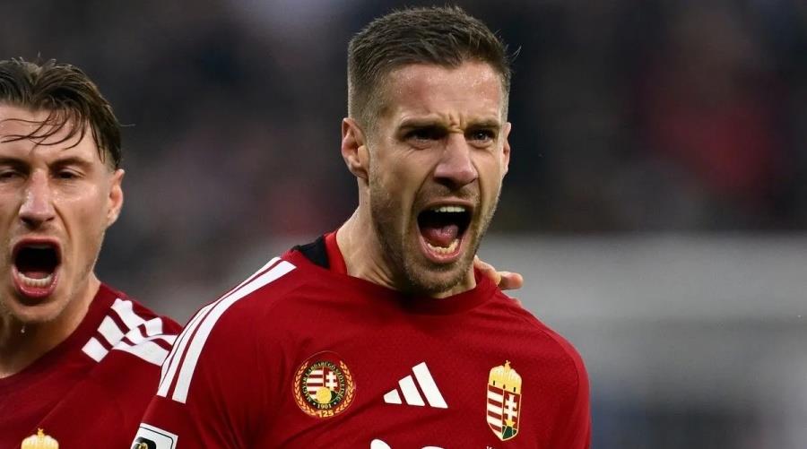 5364803845227269 Varga-1-1200x800