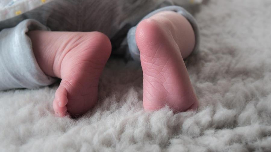 5365009456653445 brefxa-1200x901