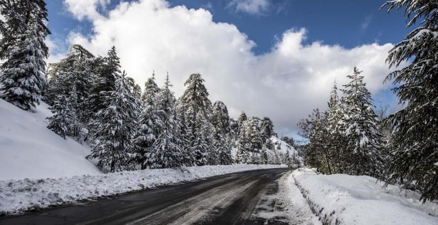 5365693969000764 troodosxionia